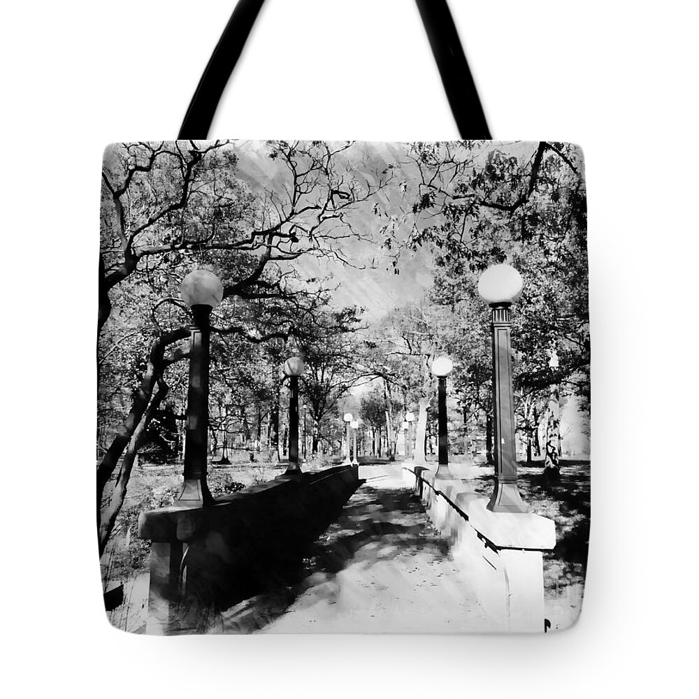 Landscape Tote Bag featuring the photograph Deering Park # 2 by Marcia Lee Jones