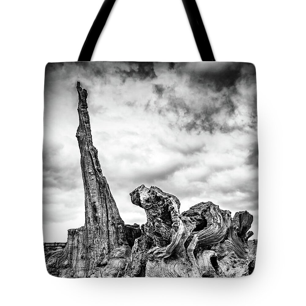 Tree Tote Bag featuring the photograph Defiance by Nick Bywater