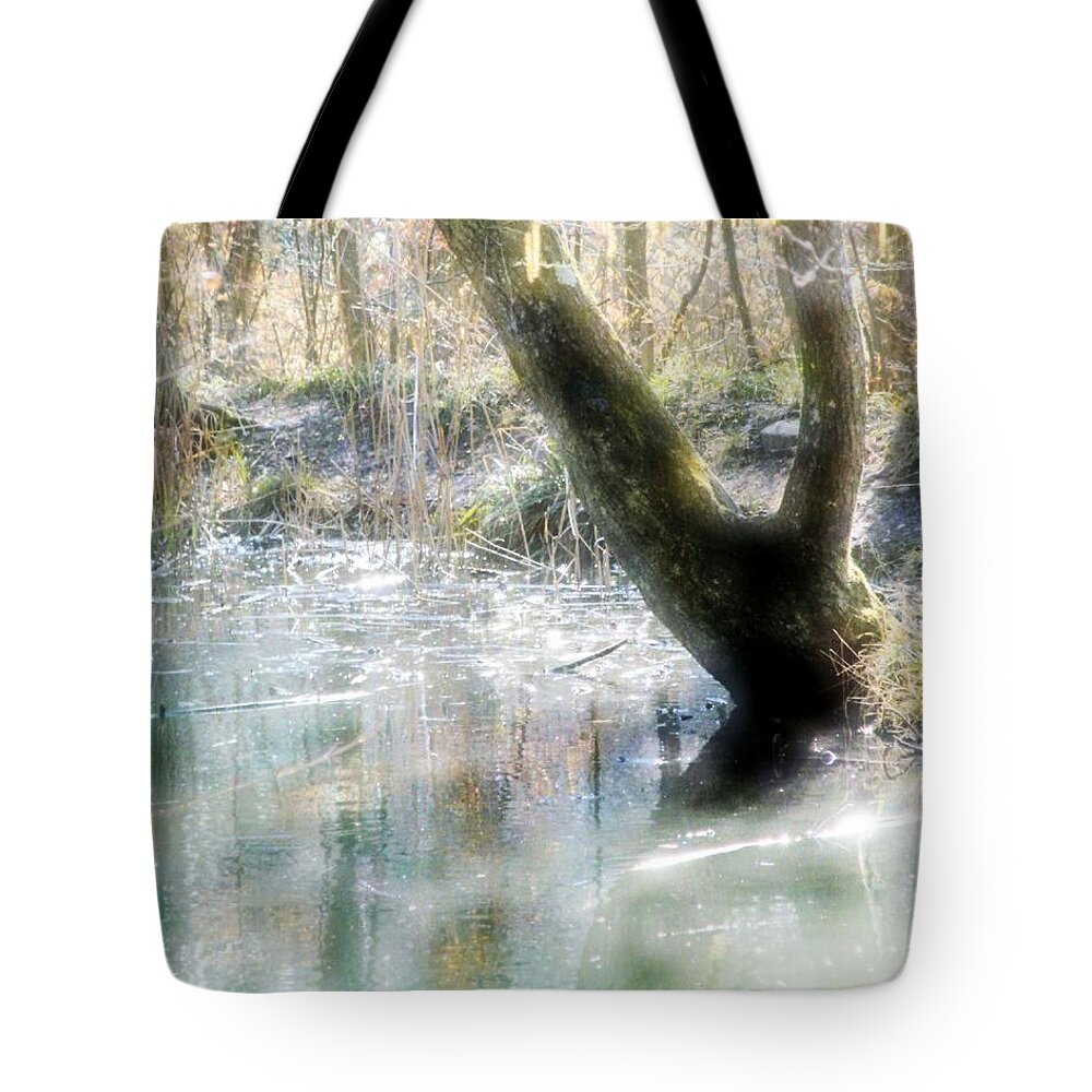 Degenried Tote Bag featuring the photograph Degenried Switzerland by Mimulux Patricia No