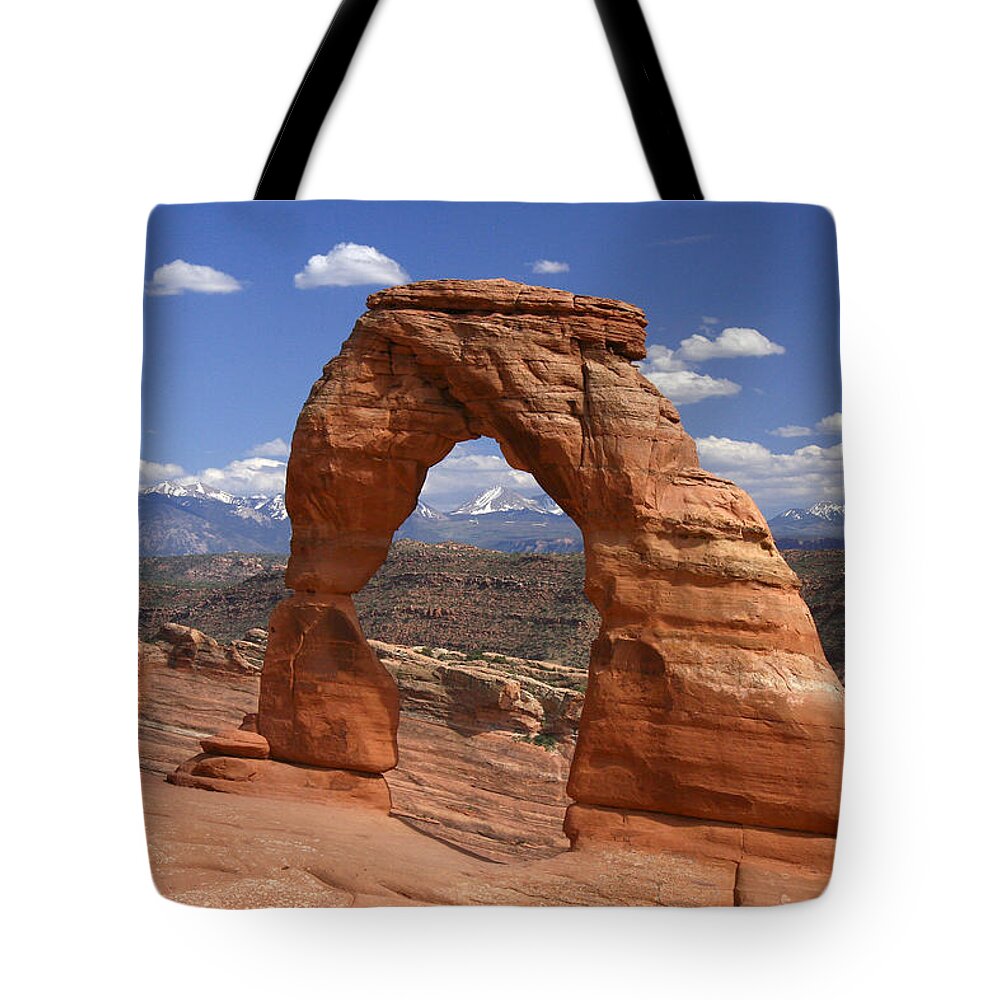 Delicate Arch Tote Bag featuring the photograph Delicate Arch by Winston Rockwell