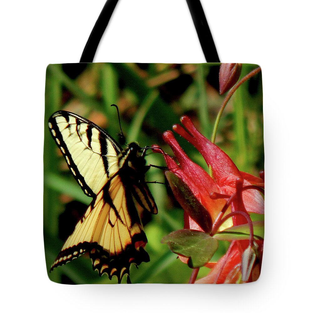 Spring Tote Bag featuring the photograph Delicate Beauty by Wild Thing
