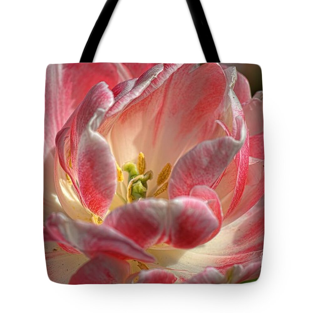 Tulips Tote Bag featuring the photograph Delicate by Diana Mary Sharpton
