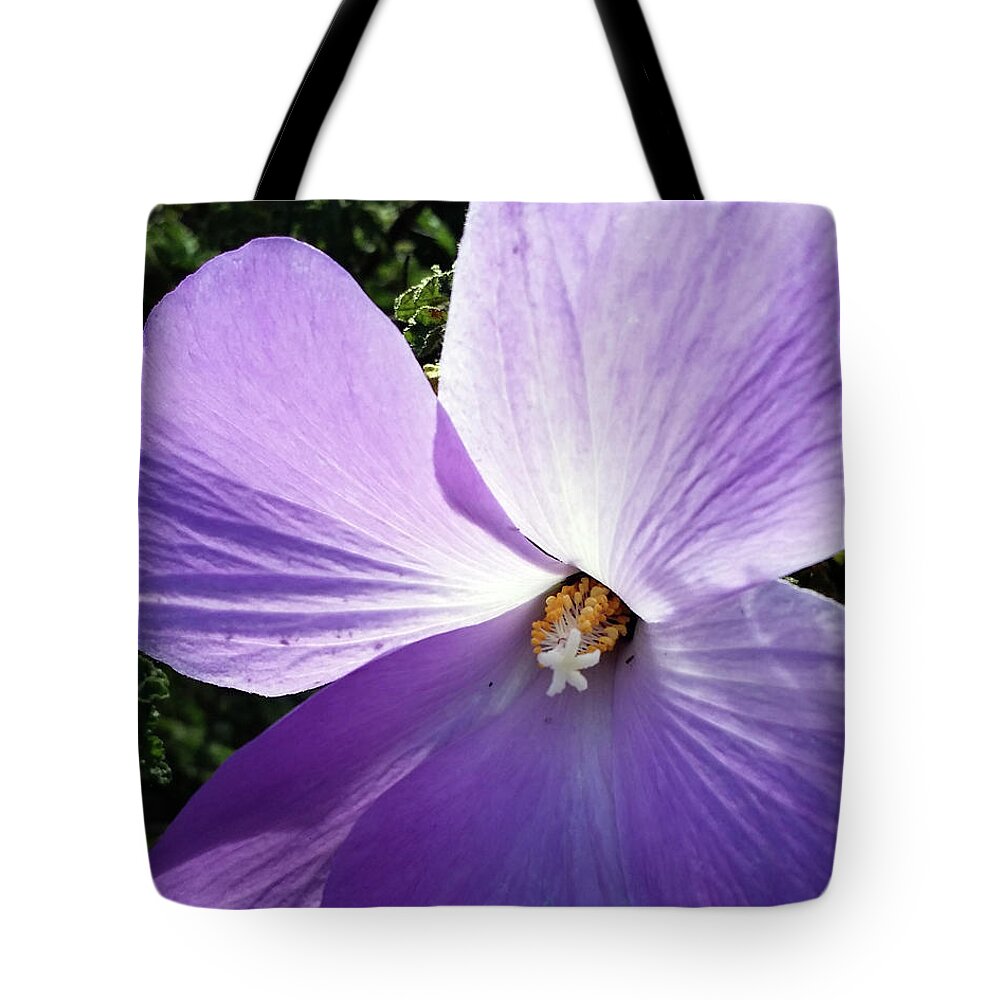 Delicate Tote Bag featuring the photograph Delicate Flower by Barbara J Blaisdell