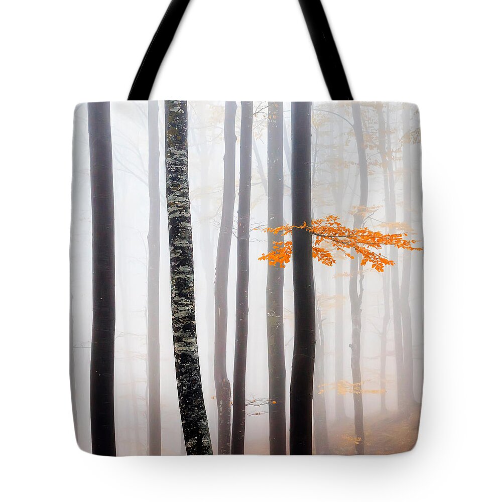 Balkan Mountains Tote Bag featuring the photograph Delicate Forest by Evgeni Dinev