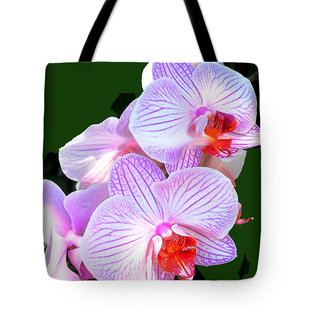 Flower Tote Bag featuring the photograph Delicate by Ian MacDonald