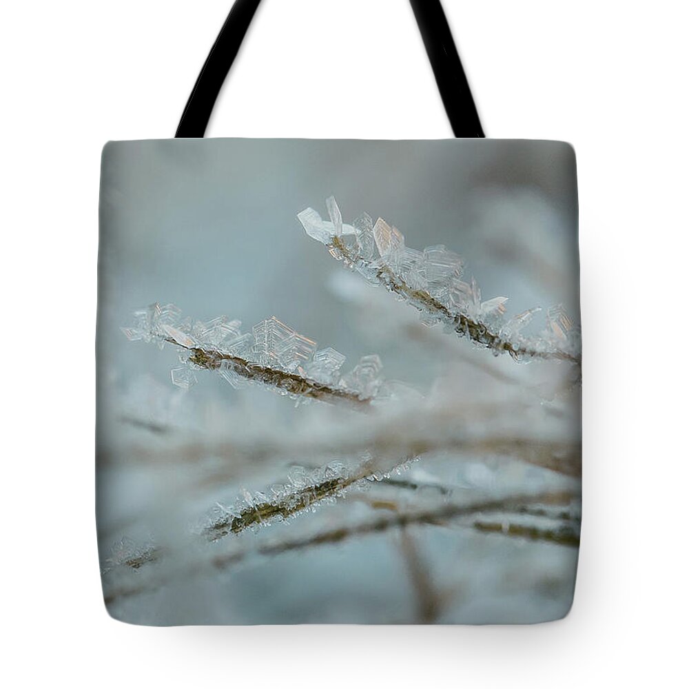 2016 Tote Bag featuring the photograph Delicate Morning Frost by Amber Flowers