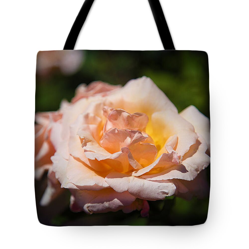 Rose Tote Bag featuring the photograph Delicate Rose by Milena Ilieva