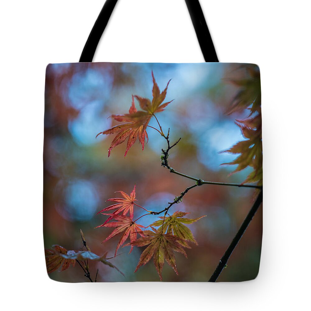 Leaves Tote Bag featuring the photograph Delicate Signs of Autumn by Mike Reid