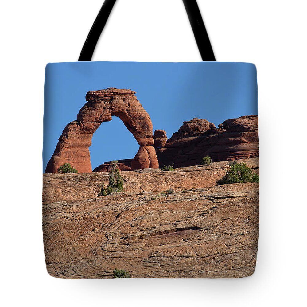 Utah Landscape Tote Bag featuring the photograph Delicate View by Jim Garrison