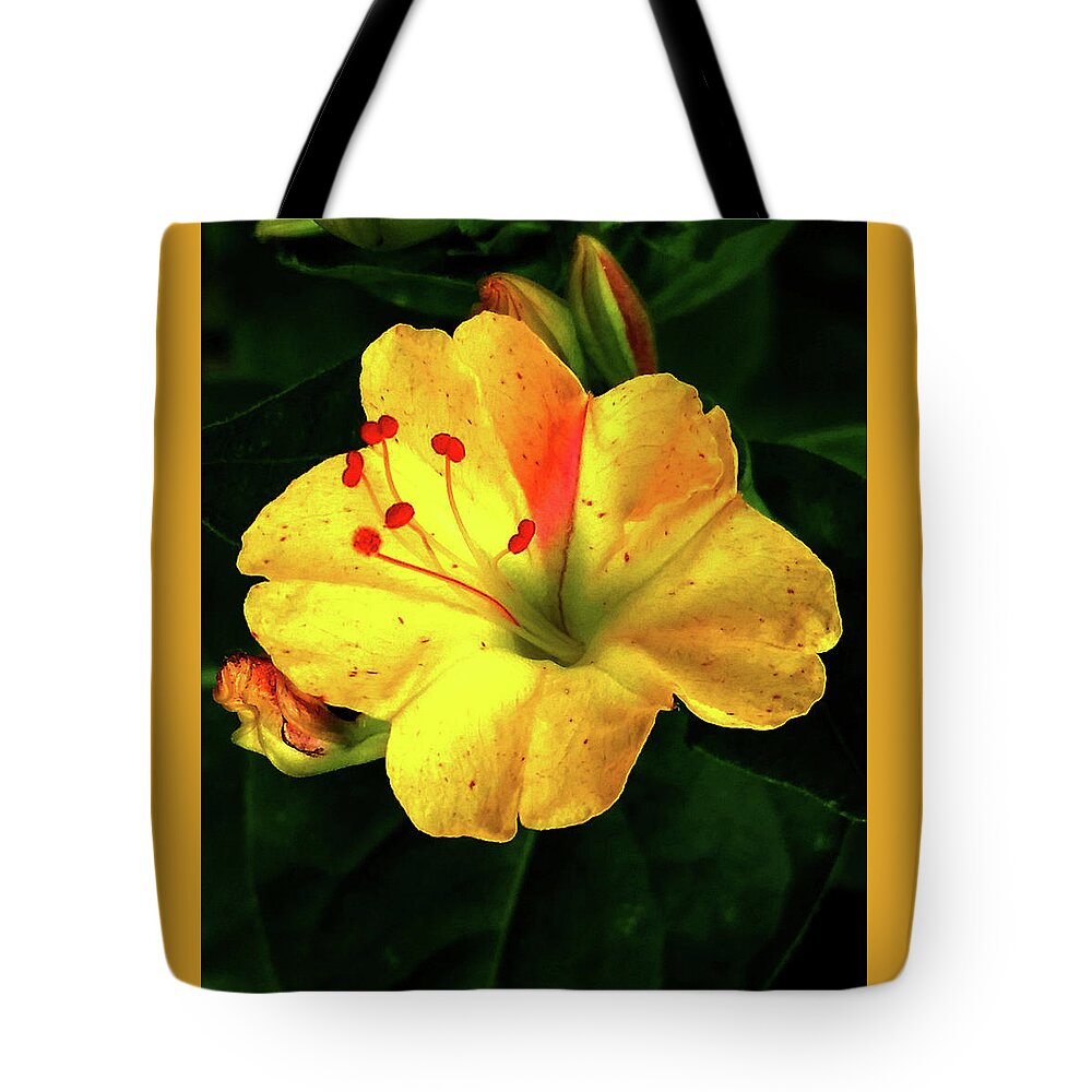 Yellow Tote Bag featuring the photograph Delicate Yellow Flower by Barbara J Blaisdell