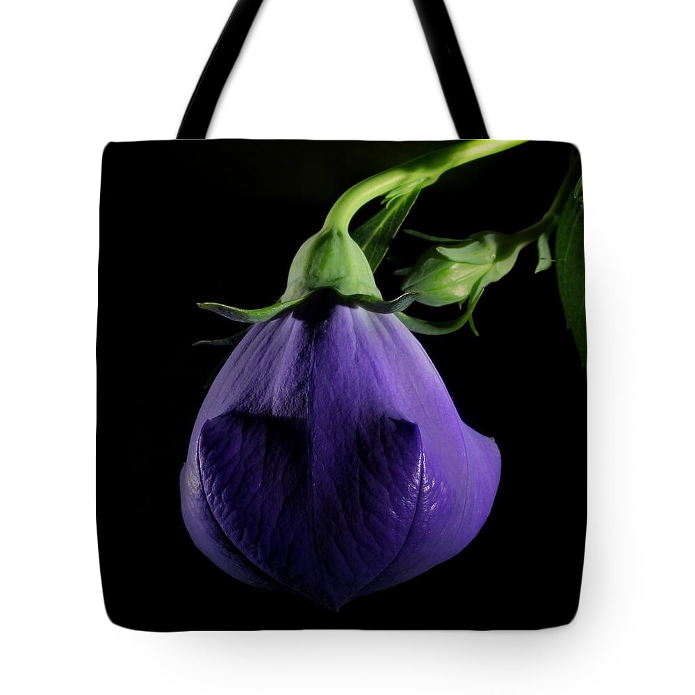 Purple Tote Bag featuring the photograph Delight by Robert Och