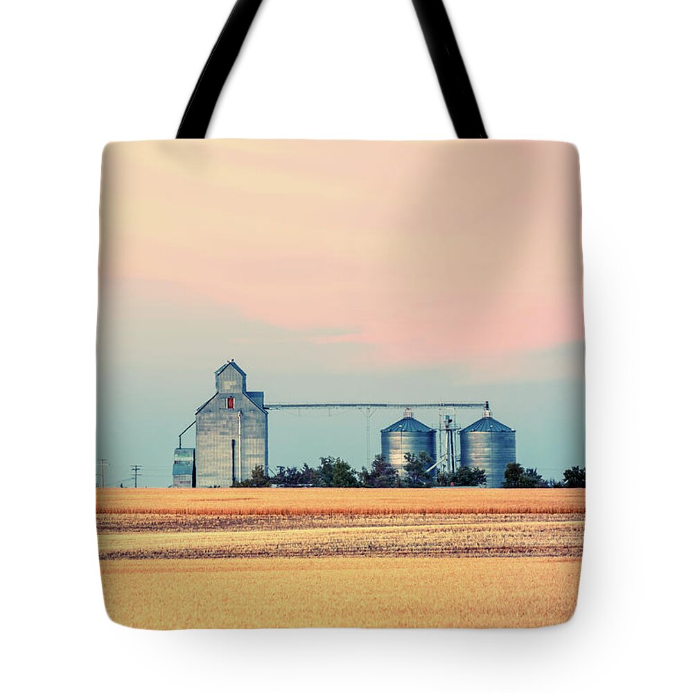 Dutton Tote Bag featuring the photograph Delightful Dutton by Todd Klassy