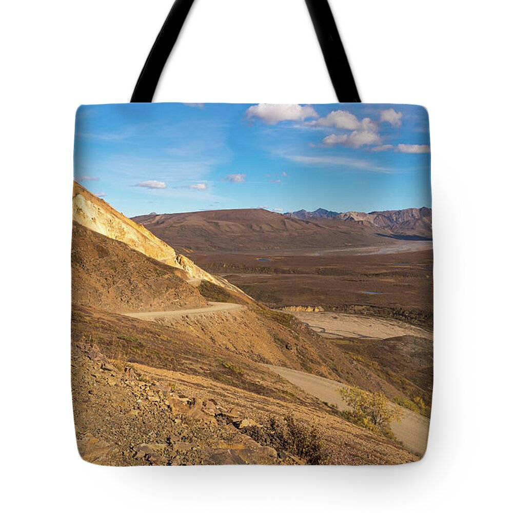 Alaska Tote Bag featuring the photograph Denali National Park by Brenda Jacobs