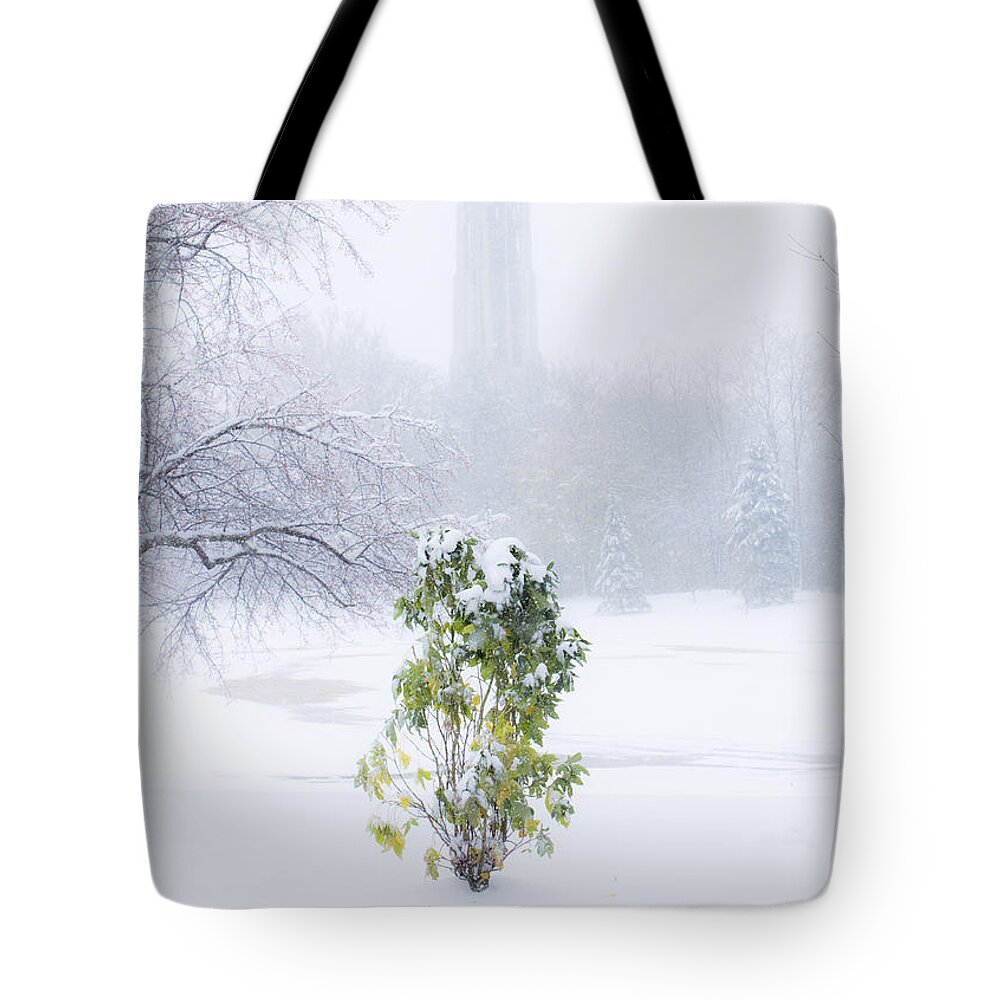 Landscape Tote Bag featuring the photograph Denial by Tracey Rees