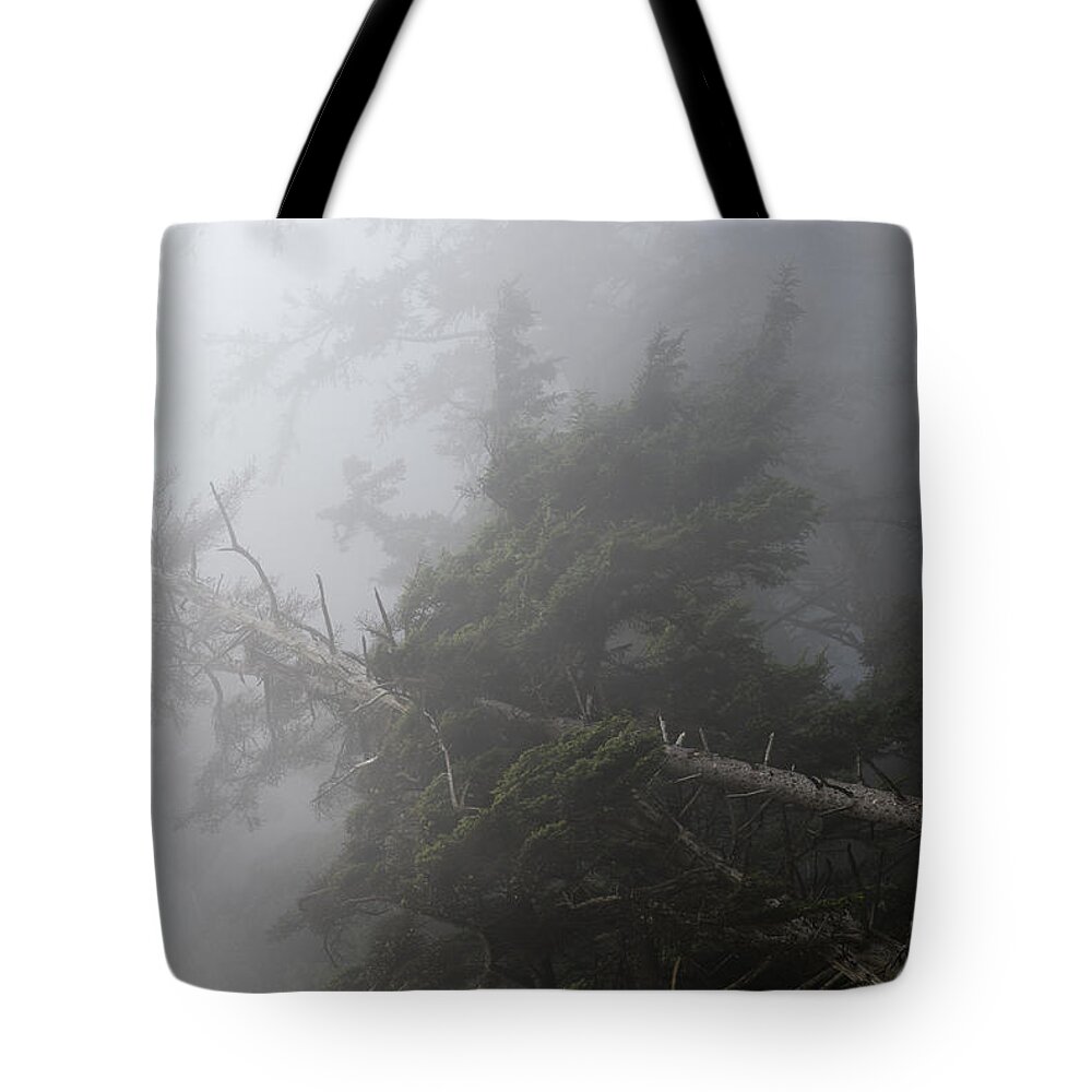 Cannon Beach Tote Bag featuring the photograph Dense Fog by Robert Potts