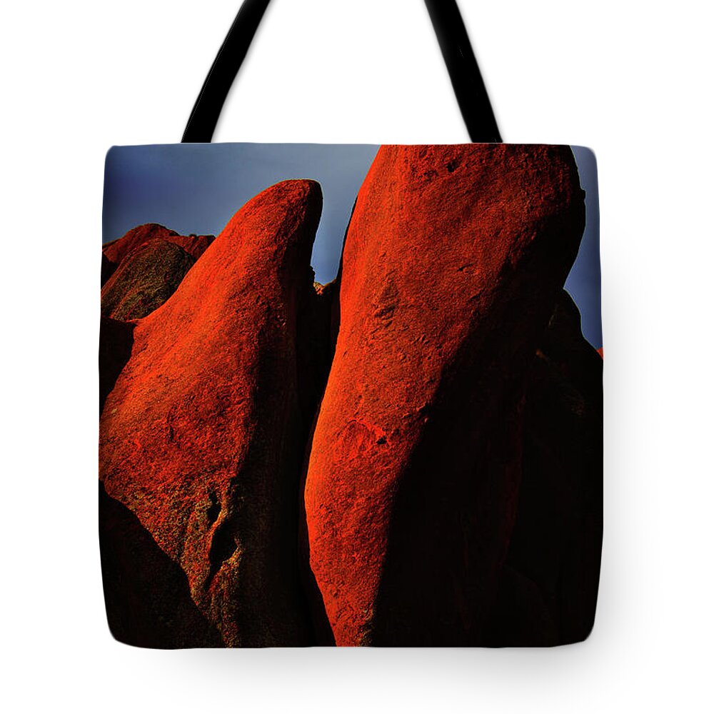 Colorado Tote Bag featuring the photograph Denver in Late Fall by Dennis Dame