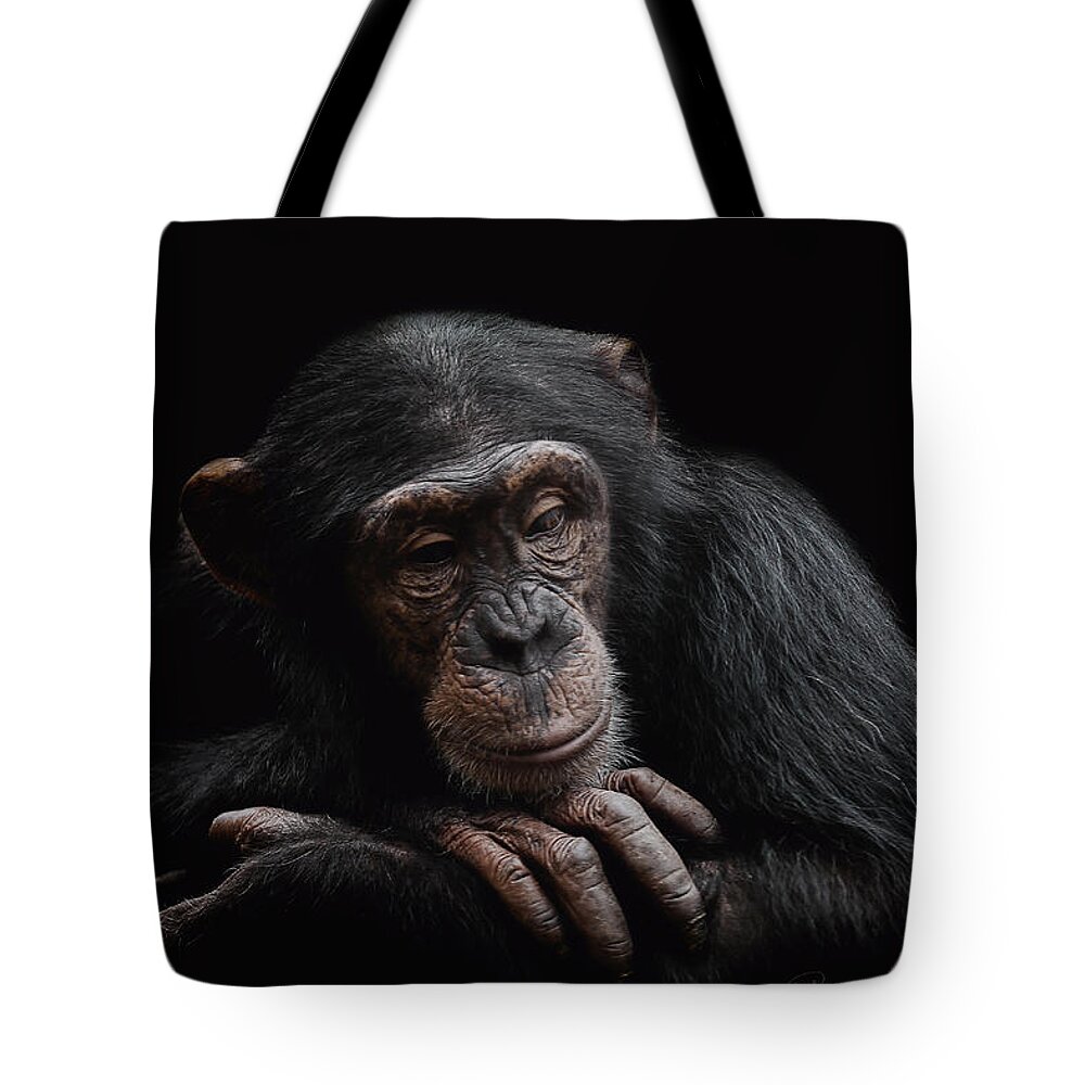 Chimpanzee Tote Bag featuring the photograph Depression by Paul Neville