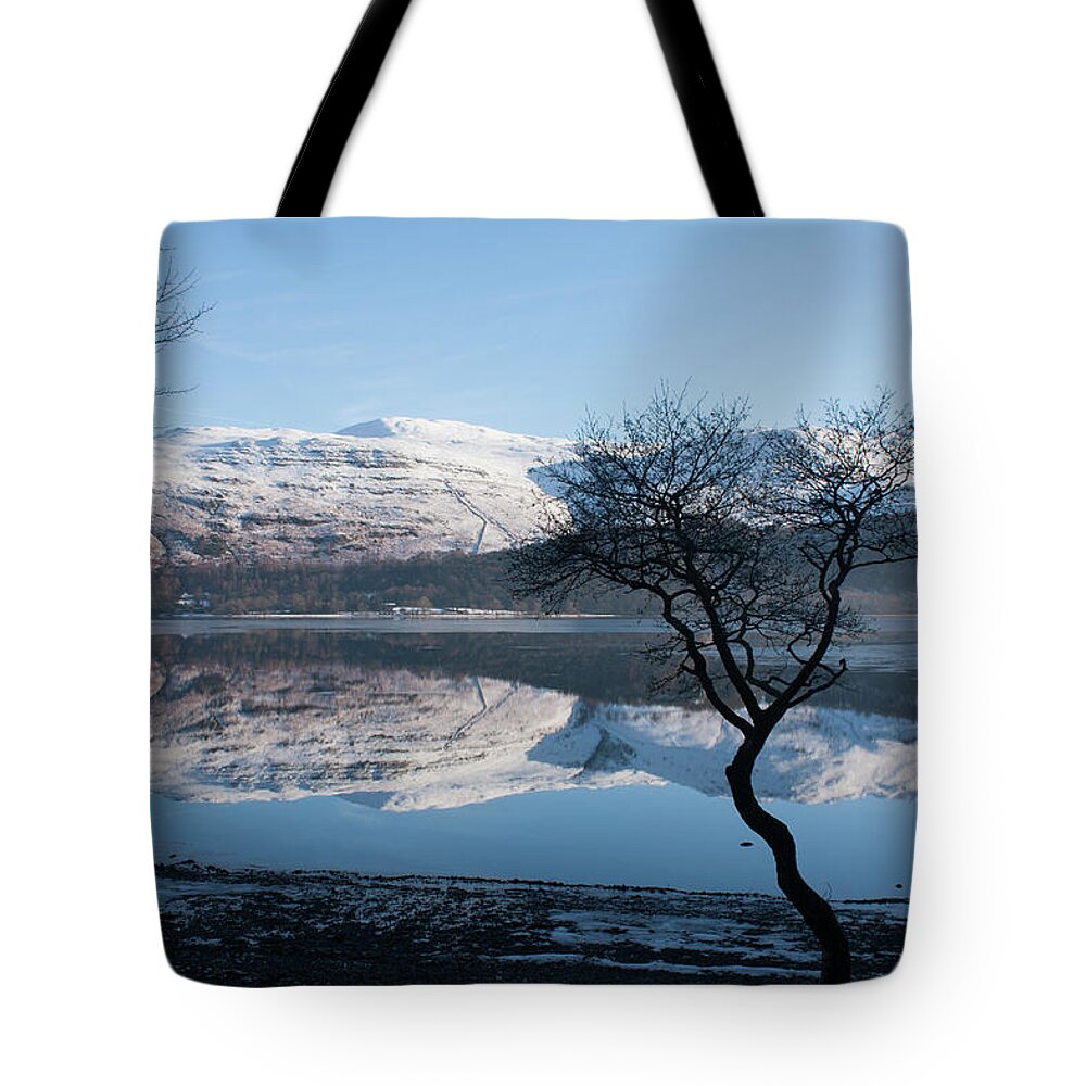 Landscape Tote Bag featuring the photograph Derwentwater Tree View by Pete Walkden