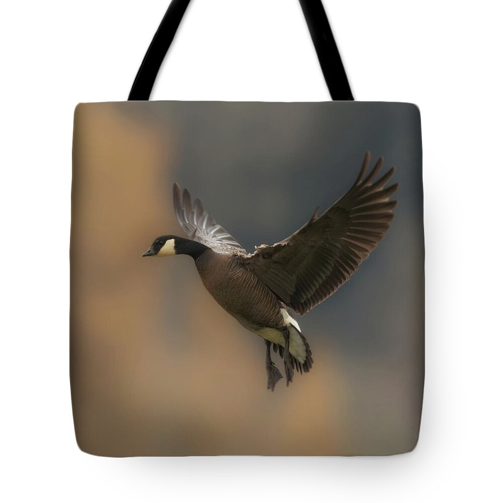 Goose Tote Bag featuring the photograph Descending Goose by Angie Vogel