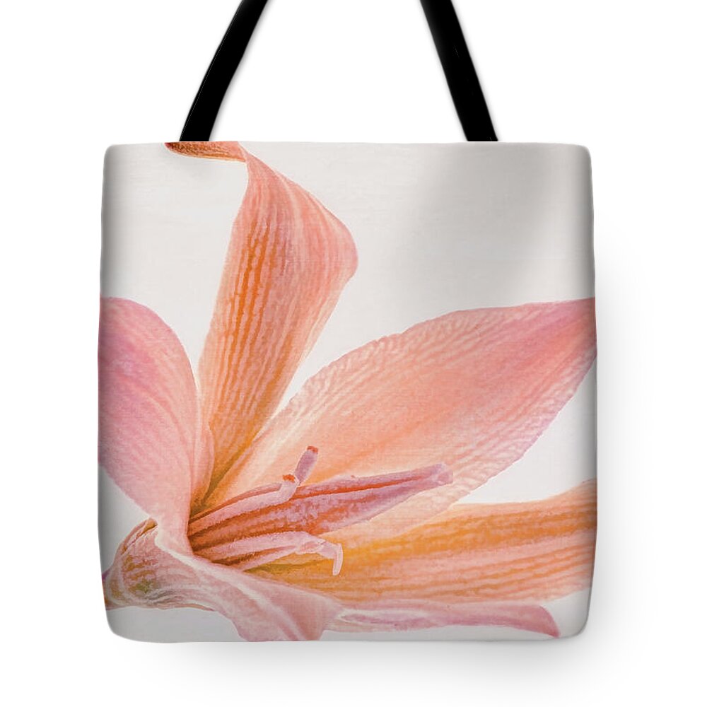 Desert Tote Bag featuring the photograph Desert Bloom by Leda Robertson