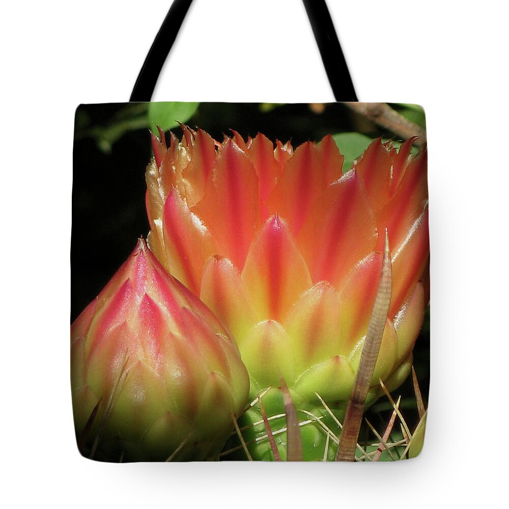 Floral Tote Bag featuring the photograph Desert Bloom by Rebecca Langen