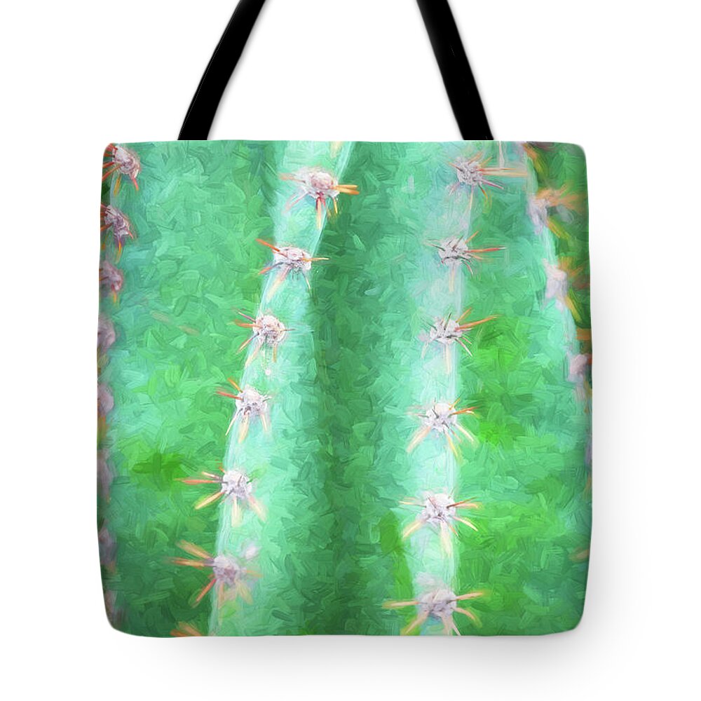  Tote Bag featuring the photograph Desert Cactus and Succulents 026 by Rich Franco