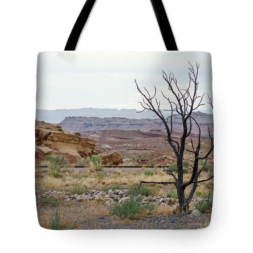 Utah Tote Bag featuring the photograph Desert Colors by Margaret Pitcher