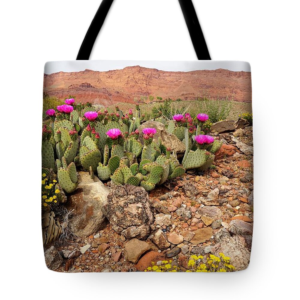 Vermillion Tote Bag featuring the photograph Desert Cactus in Bloom by Tranquil Light Photography