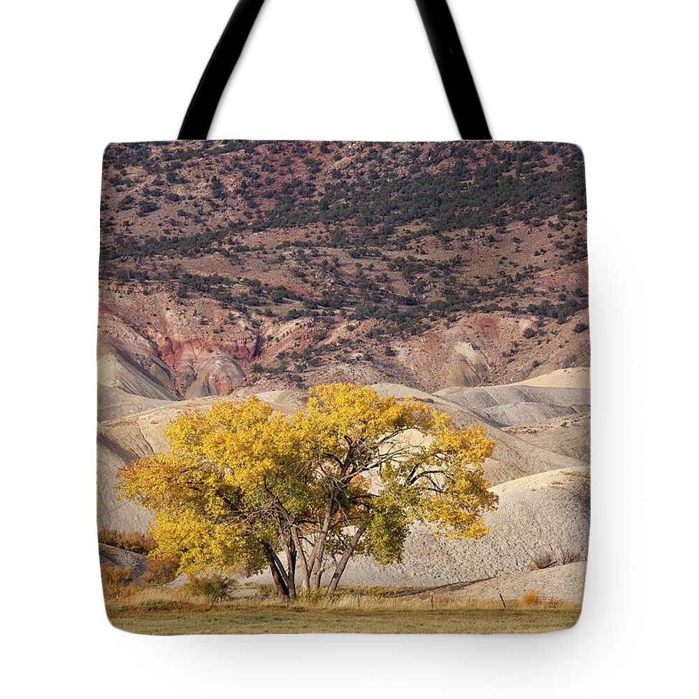 Cottonwood Tote Bag featuring the photograph Desert Gold by Denise Bush