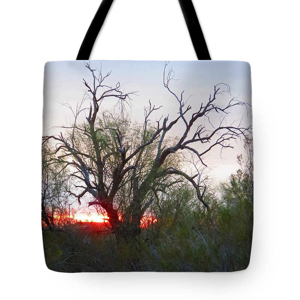 Arizona Tote Bag featuring the photograph Desert Ironwood Sunrise by Judy Kennedy