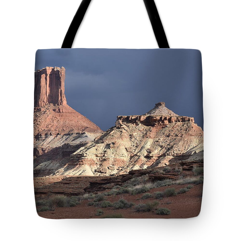 Desert Tote Bag featuring the photograph Desert Landscape by Ben Foster