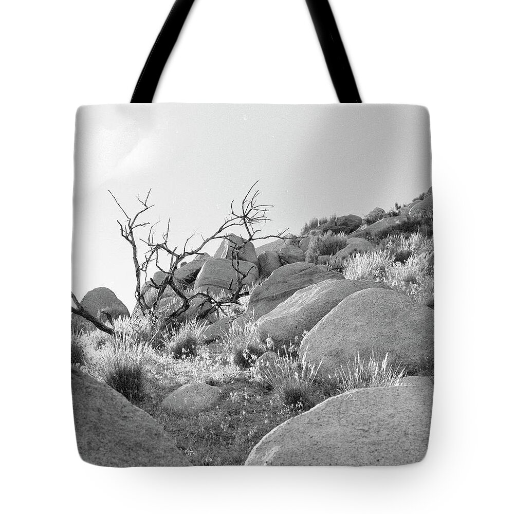 Nevada Tote Bag featuring the photograph Desert Light 2 by Susan Crowell