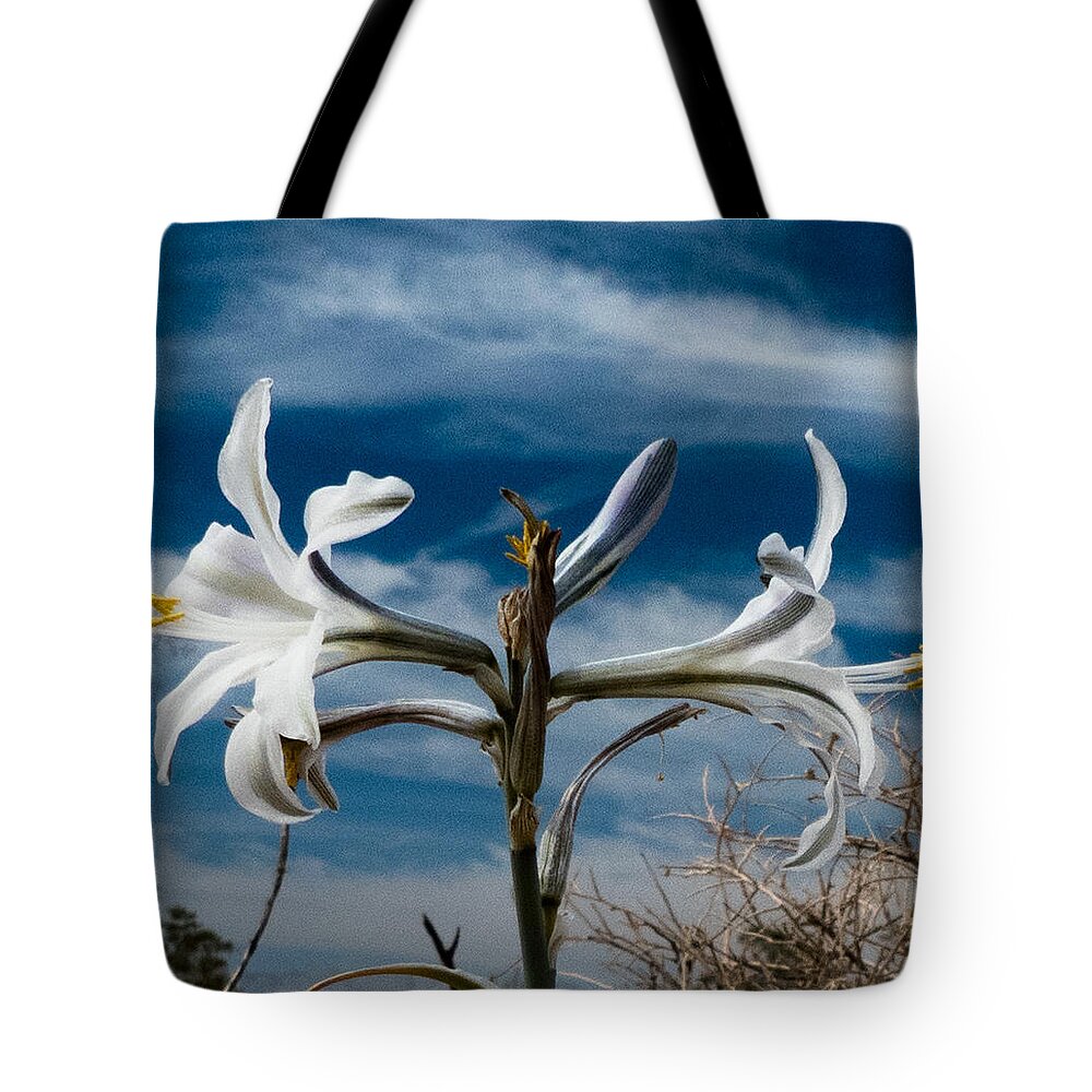 Macro Tote Bag featuring the photograph Desert Lilly Close up by Jeremy McKay