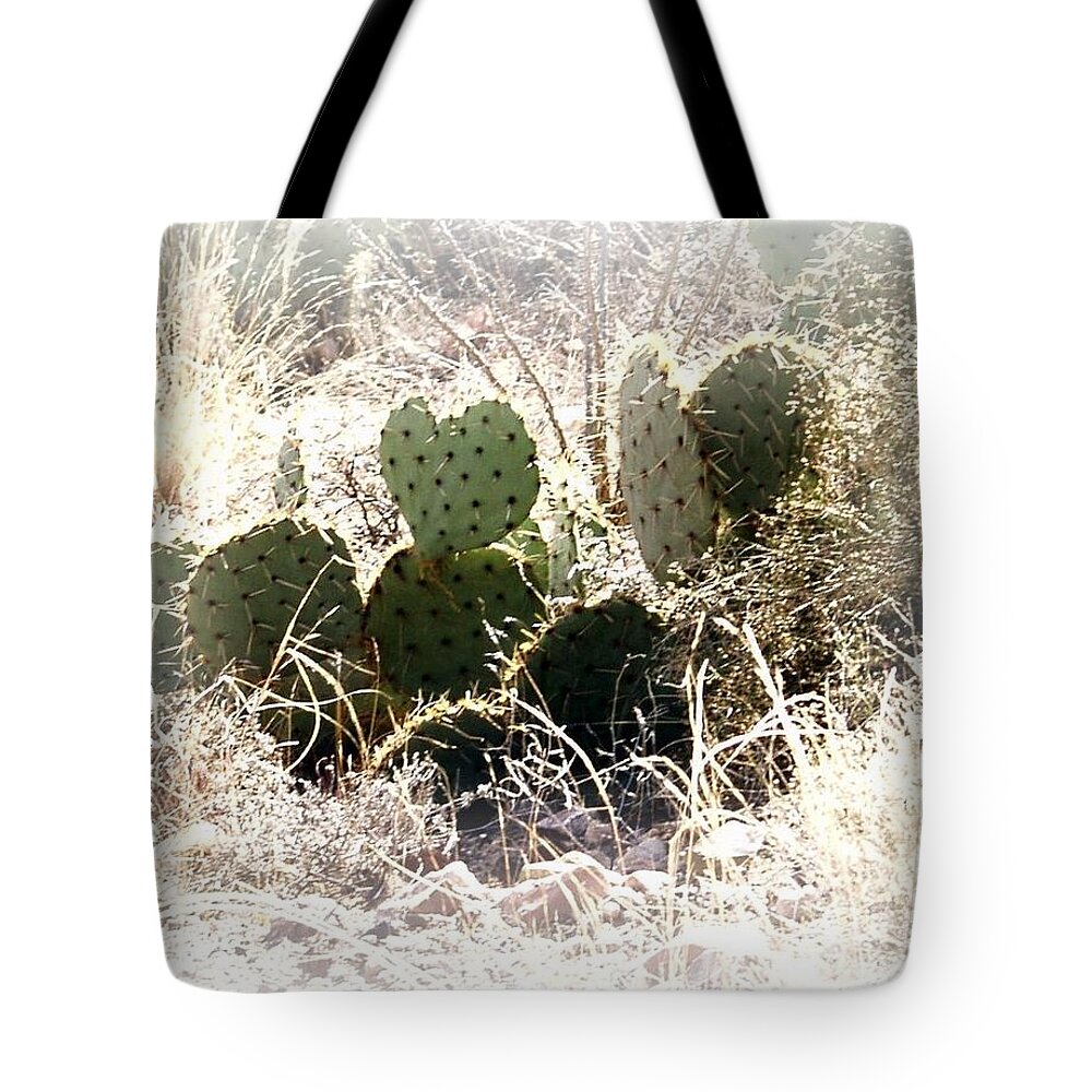 Cactus Tote Bag featuring the photograph Desert Love by Carol Sweetwood