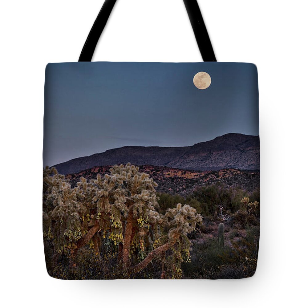 Blue Moon Tote Bag featuring the photograph Desert Moonlight by Saija Lehtonen