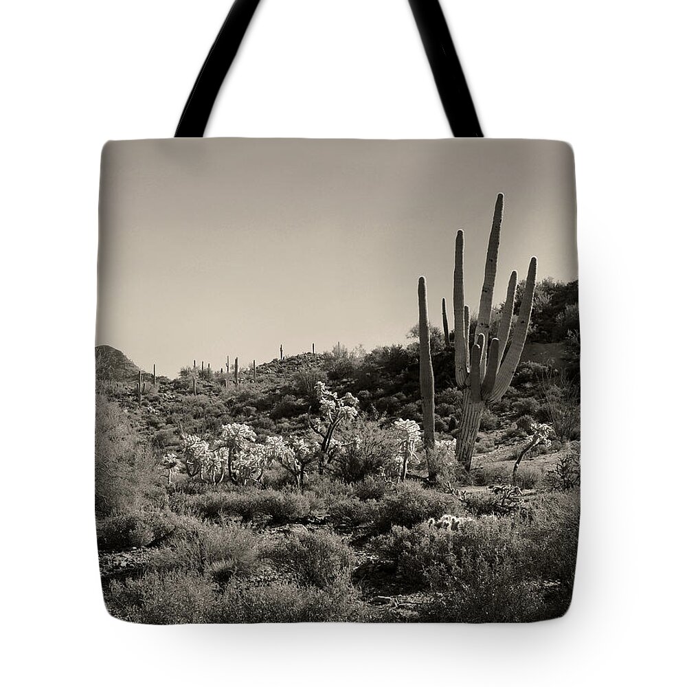 Arizona Tote Bag featuring the photograph Desert Morning by Gordon Beck