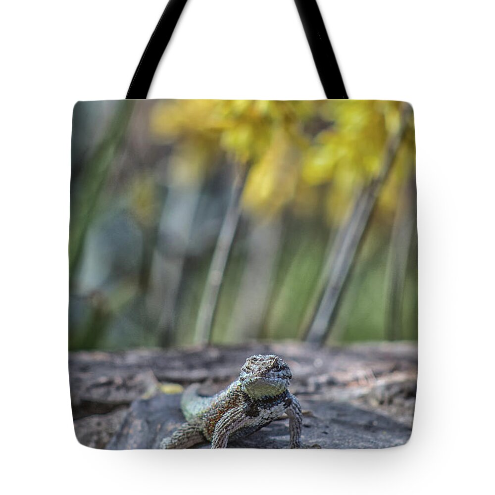 Desert Tote Bag featuring the photograph Desert Spiny Lizard 5796-041018-1cr by Tam Ryan