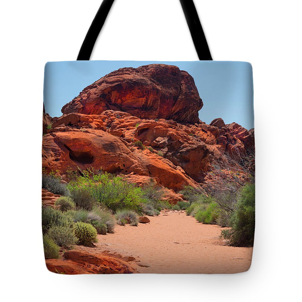 Valley Of Fire Tote Bag featuring the photograph Desert Trail Valley of Fire by Frank Wilson