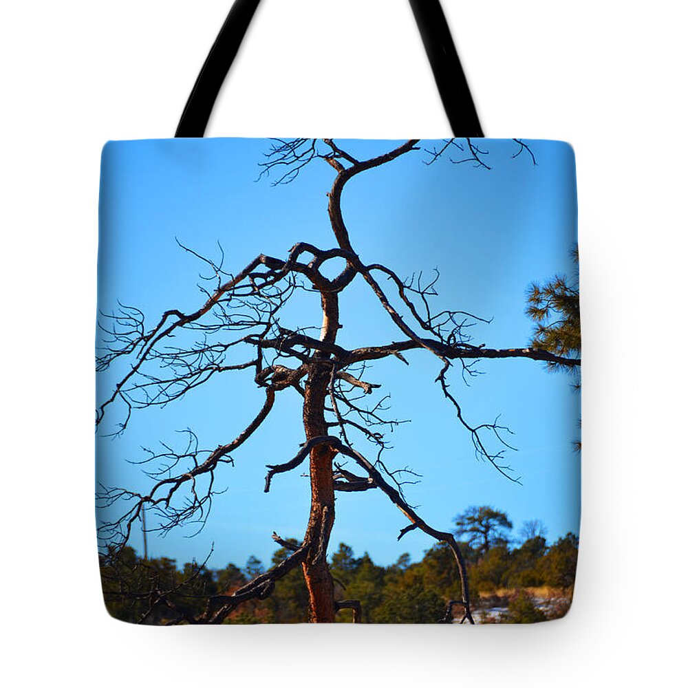 Southwest Landscape Tote Bag featuring the photograph Deserts toll by Robert WK Clark