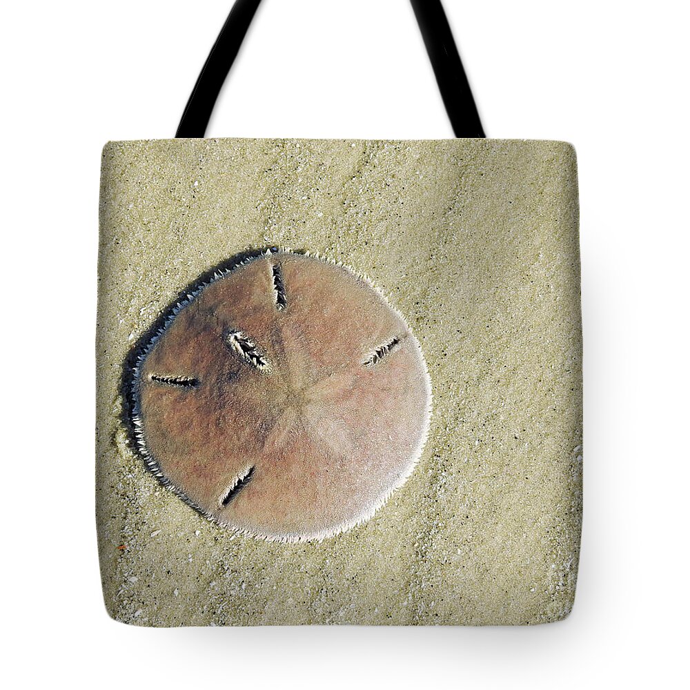 Beach Tote Bag featuring the photograph Design In The Sand by Jan Gelders