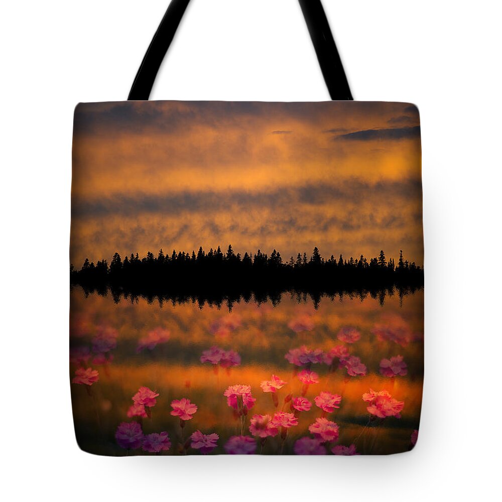 Canada Tote Bag featuring the photograph Destiny by Doug Gibbons