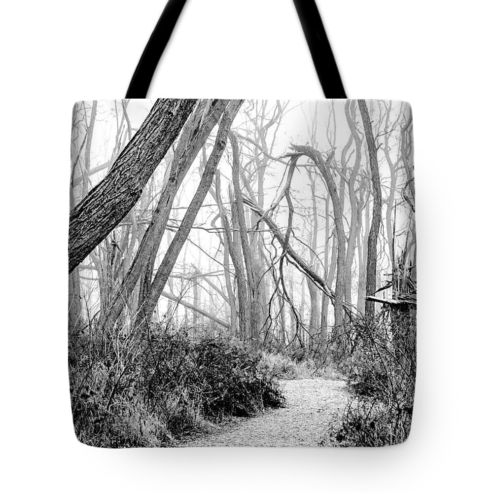 Illinois Tote Bag featuring the photograph Destruction in Black and White by Joni Eskridge