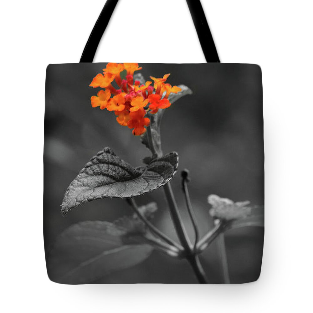 Art Tote Bag featuring the photograph Detailed Leaf by Bradley Dever
