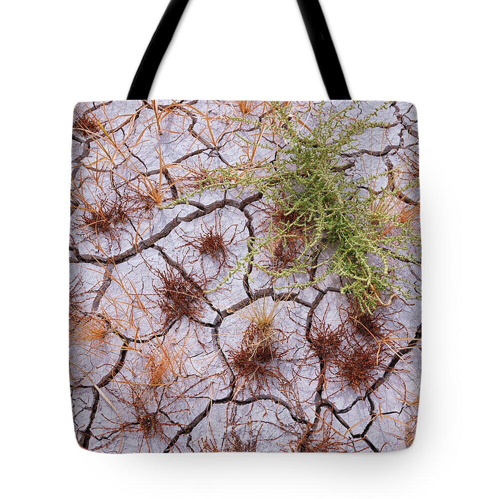 Oregon Tote Bag featuring the photograph Details of the Playa by Andrew Kumler