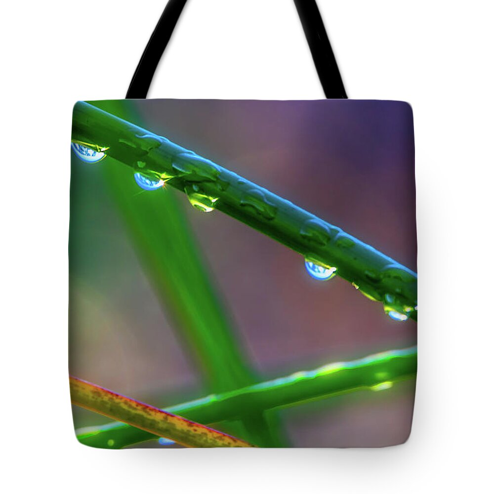 Landscape Tote Bag featuring the photograph Dew Drops at Sunrise by Marc Crumpler