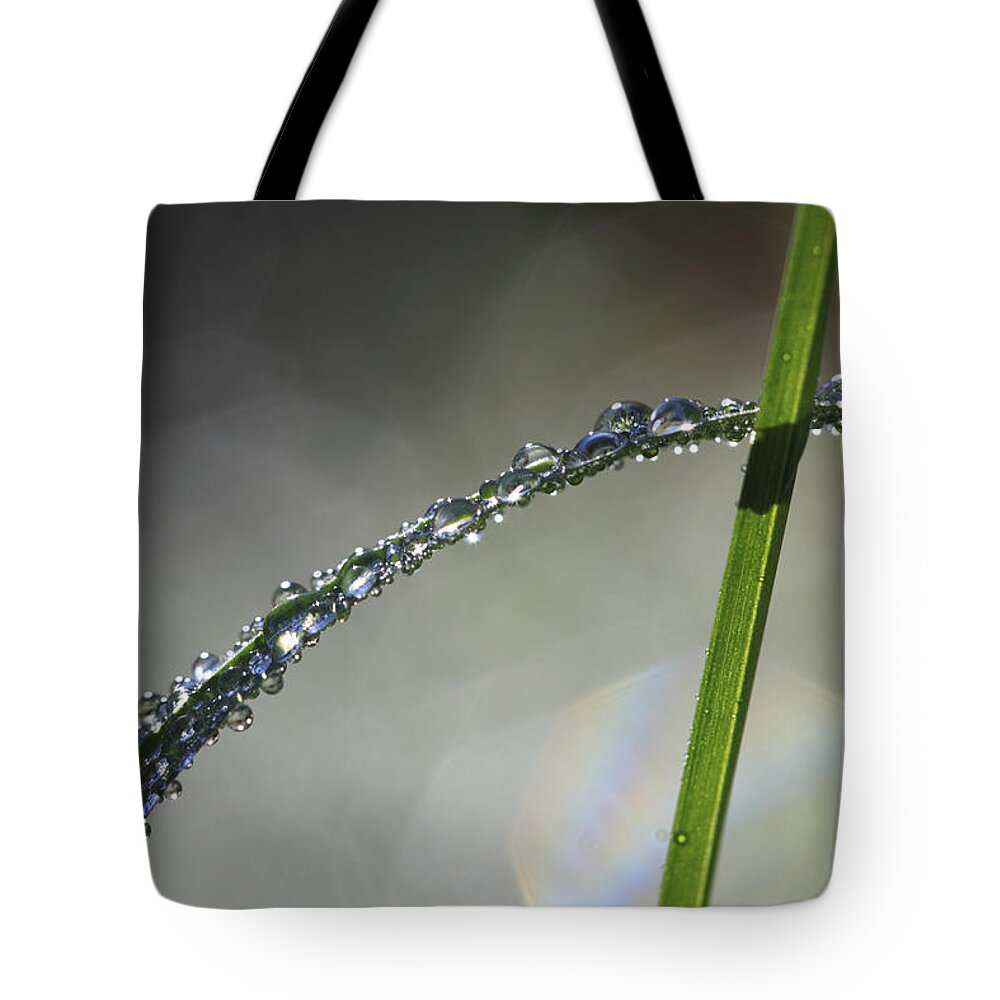 Abstract Tote Bag featuring the photograph Dew drops clinging to blade of grass by Ulrich Kunst And Bettina Scheidulin