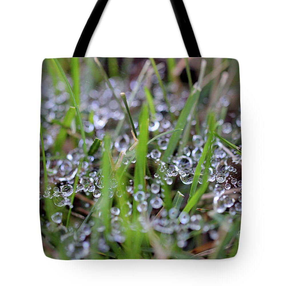 Dew Tote Bag featuring the photograph Dew Drops in Grass #3 by Karen Adams