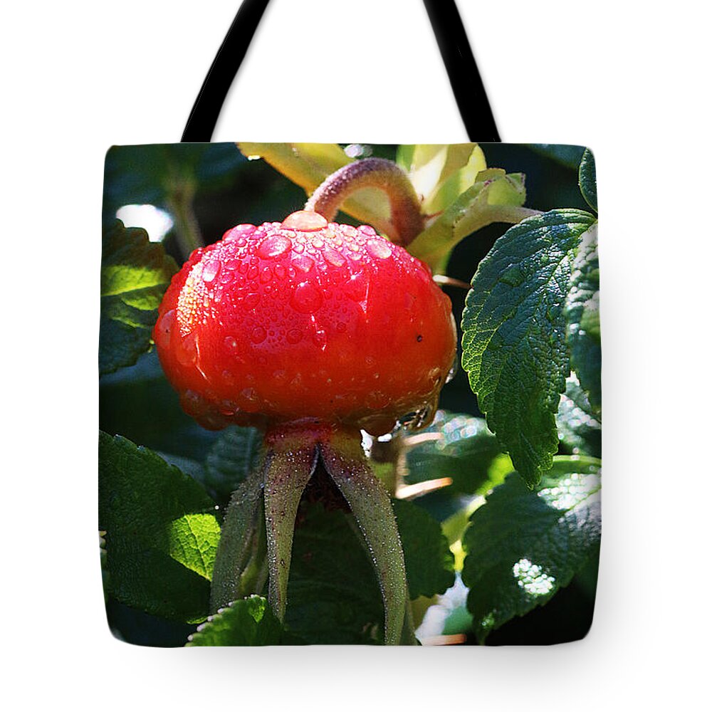 Flower Tote Bag featuring the photograph Dew Drops on Rose Hip by William Selander