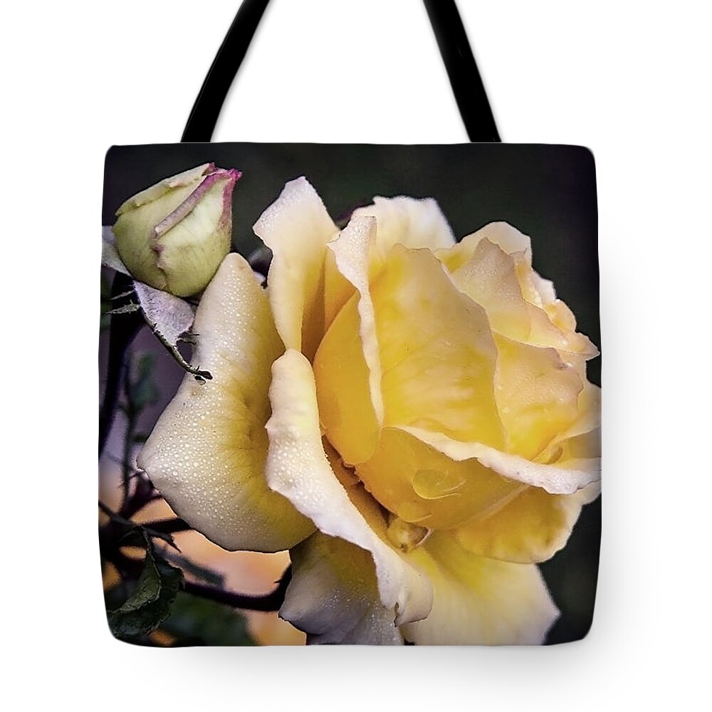 Rose Tote Bag featuring the photograph Dew on a rose by Vanessa Thomas