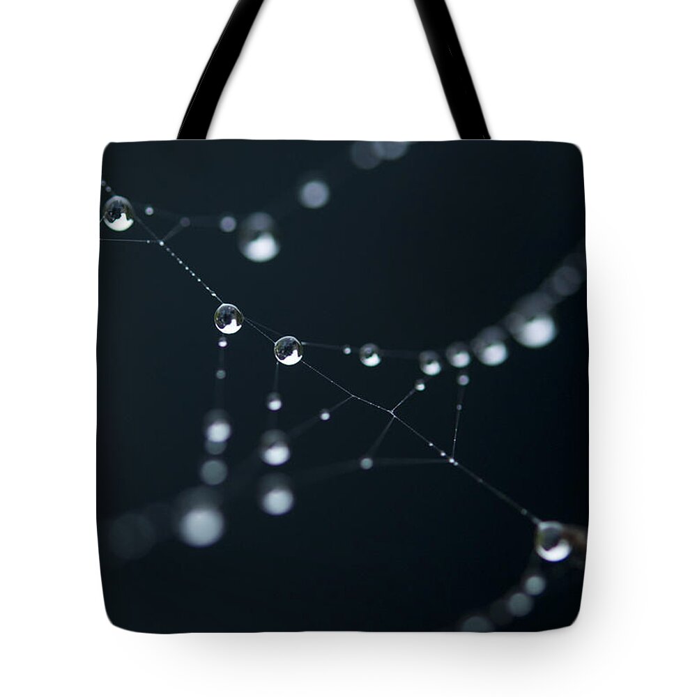 Dew Tote Bag featuring the photograph Dewdrop on cobweb 002 by Clayton Bastiani